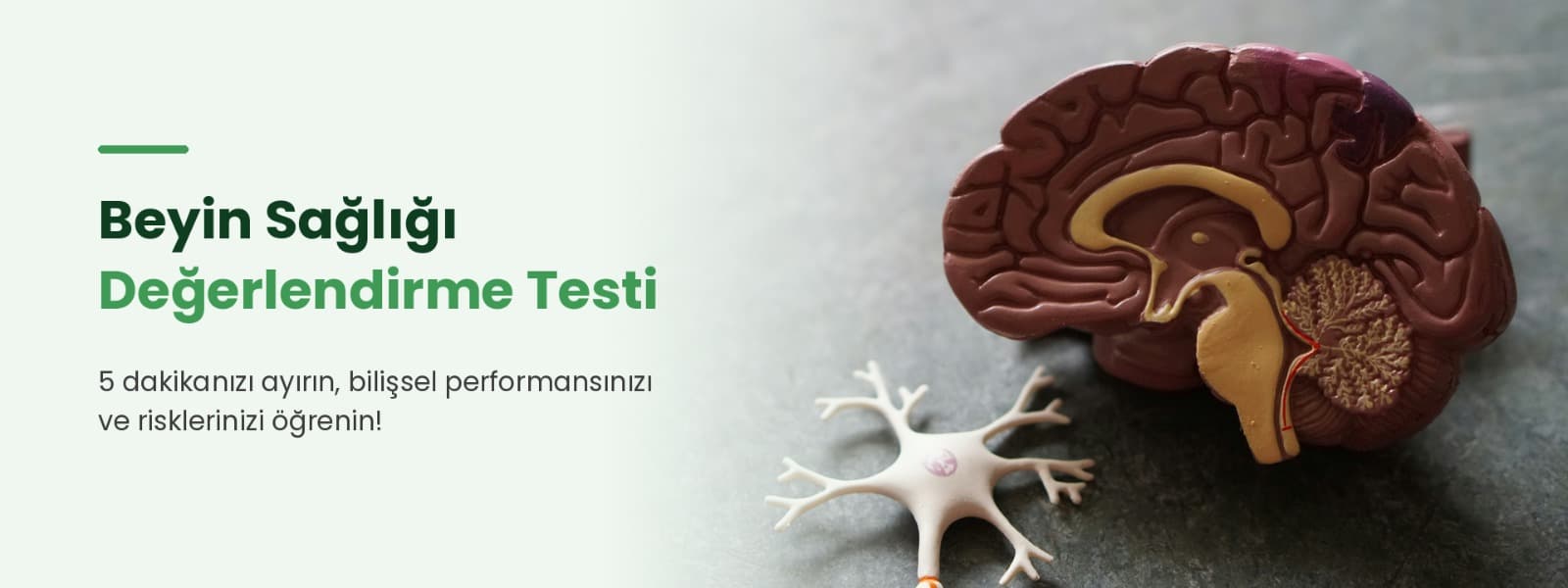 Beyin Sağlığı Değerlendirme Testi. 5 dakikanızı ayırın, bilişsel performansınızı ve risklerinizi öğrenin!